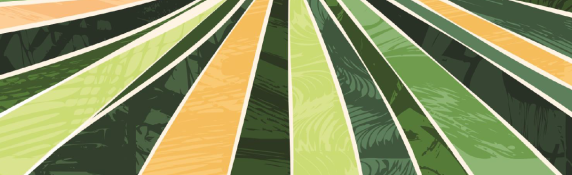 Paper Women-led agroecological innovations for climate resilience: evidence from AgrEcoMed project